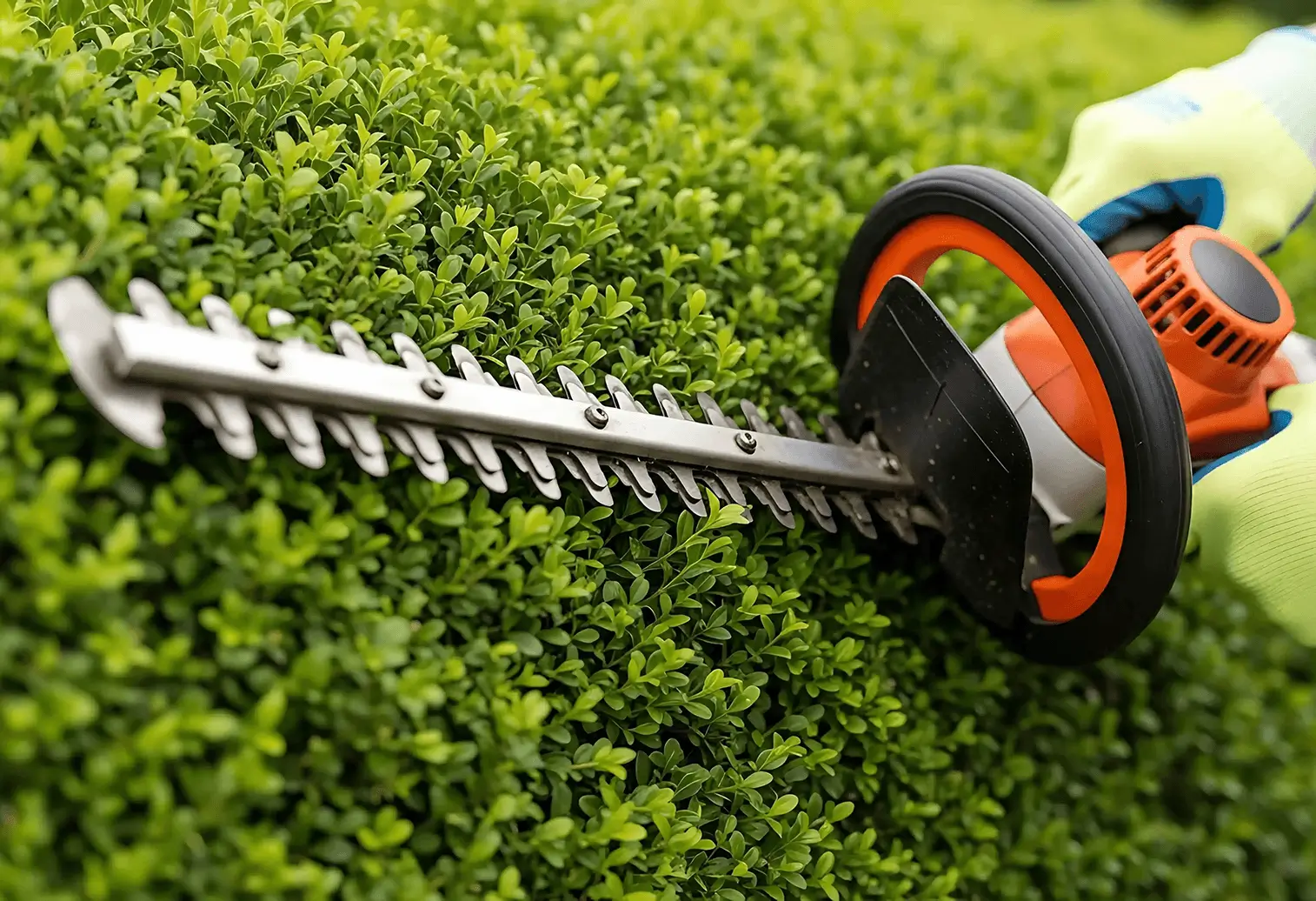Hedge Cutting Inverclyde Greenock Gourock