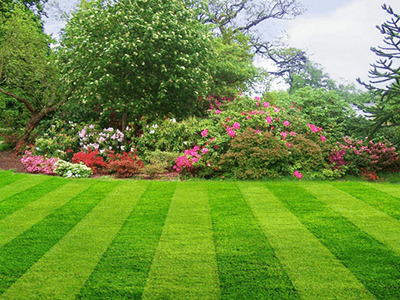 Garden Maintenance inverclyde