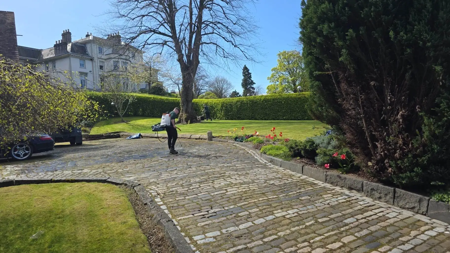 Weed Spraying Inverclyde Greenock Gourock
