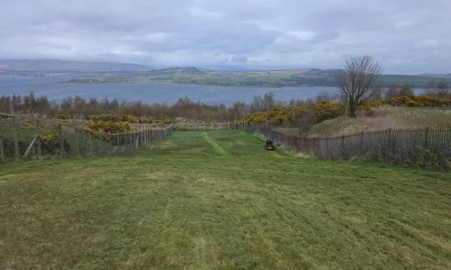 grass cutting in inverclyde trusted service