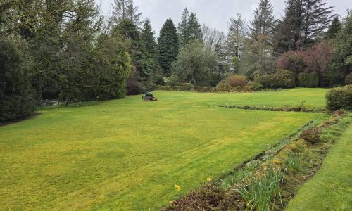 grass cutting services greenock gourock inverclyde