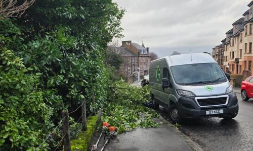 hedge cutting greenock gourock inverclyde