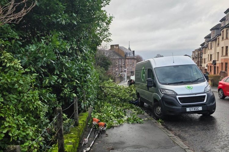 hedge cutting greenock gourock inverclyde