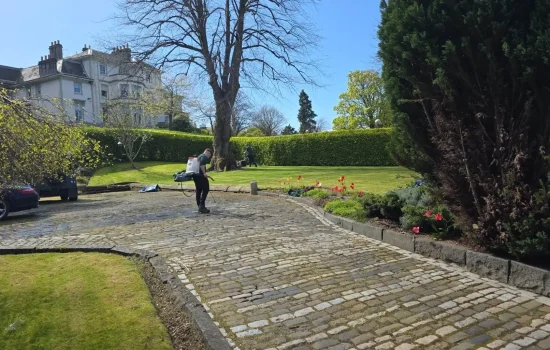 Weed Spraying Inverclyde Greenock Gourock Weed Spraying Inverclyde Greenock Gourock